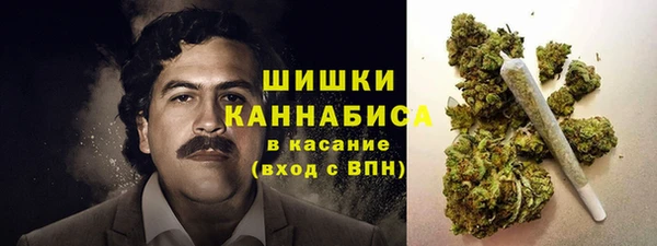 твердый Абаза