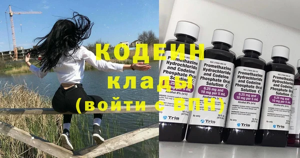 твердый Абаза