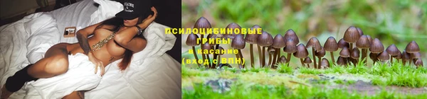бошки Алексеевка