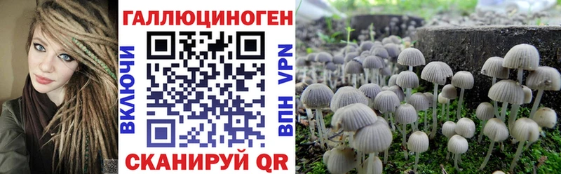 Галлюциногенные грибы мухоморы  где купить   это как зайти  Туринск 